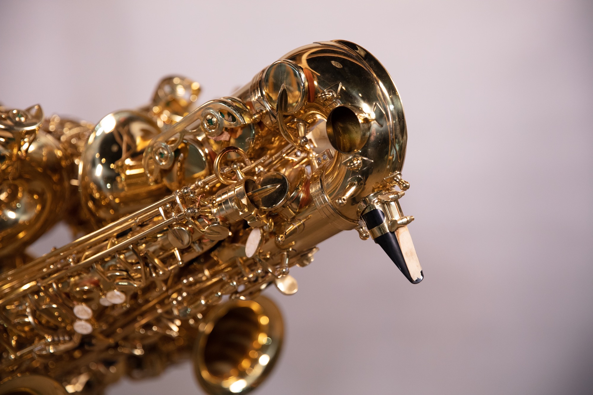 Close-up detail of saxophone bell and bird beak form